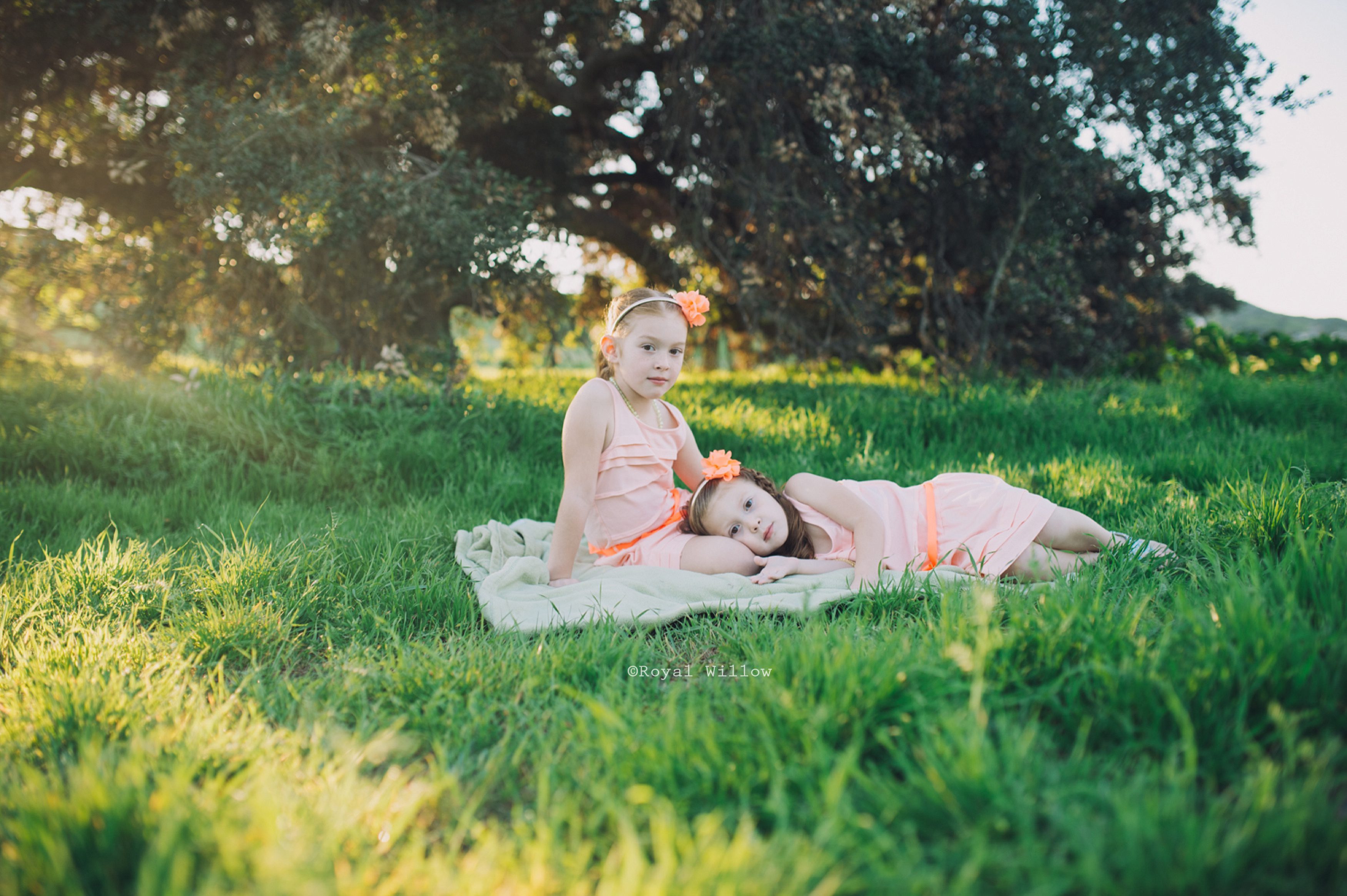 2015-07-07_0009